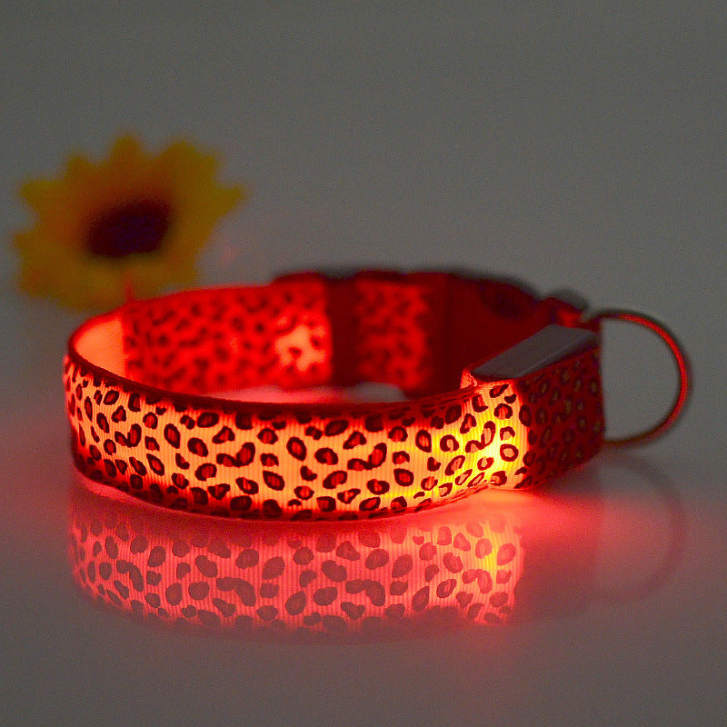 Collar LED de seguridad nocturna para perros