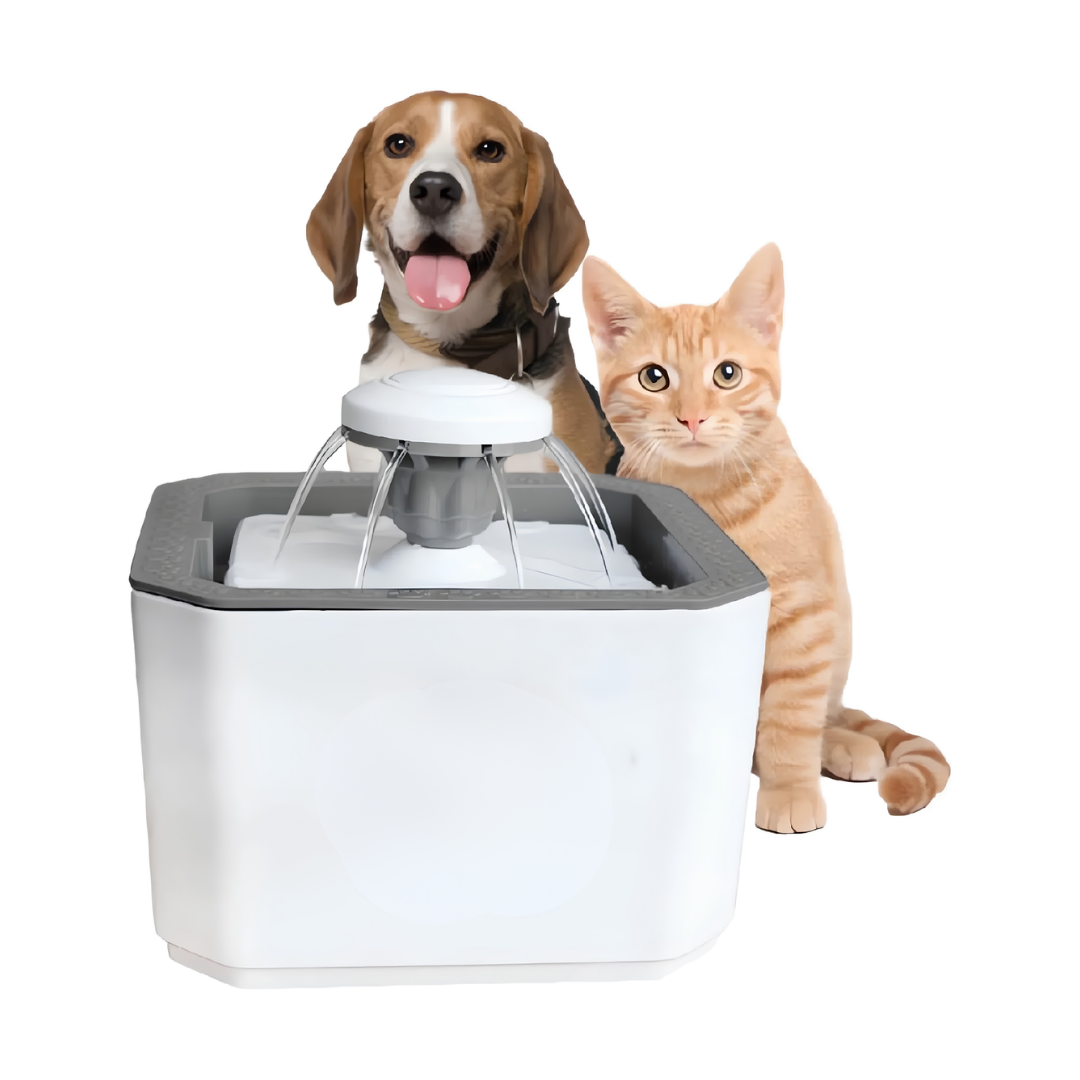 Bebedero automático con fuente de agua filtrada para mascotas